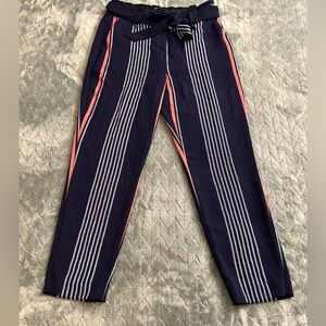 Express Navy Pants with White Stripes